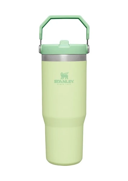 Stanley The IceFlow Flip Straw Pipetli Termos Bardak 0,89 LT Açık Yeşil