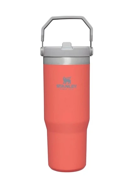 Stanley The IceFlow Flip Straw Pipetli Termos Bardak 0,89 LT Açık Mercan