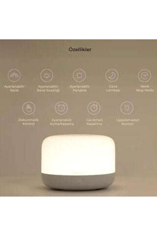 Akıllı Dokunmatik Başucu Lambası Ylct01yl