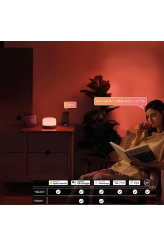 Akıllı Dokunmatik Başucu Lambası Ylct01yl