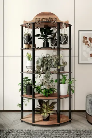 Ravilo Allamanda Dekoratif Çiçeklik Saksılık