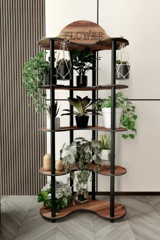 Ravilo Mimosa Dekoratif Çiçeklik Saksılık