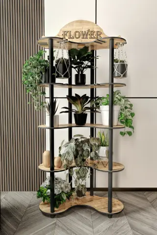 Ravilo Mimosa Dekoratif Çiçeklik Saksılık